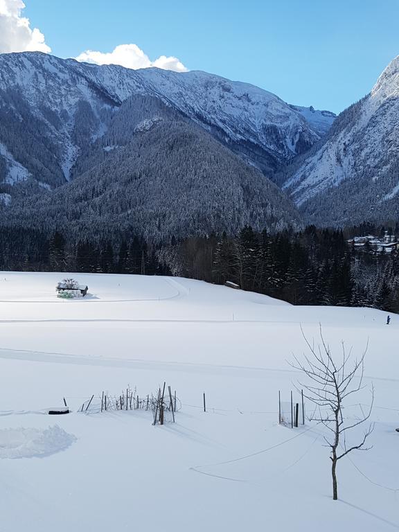 Haidacherhof Eben am Achensee Extérieur photo