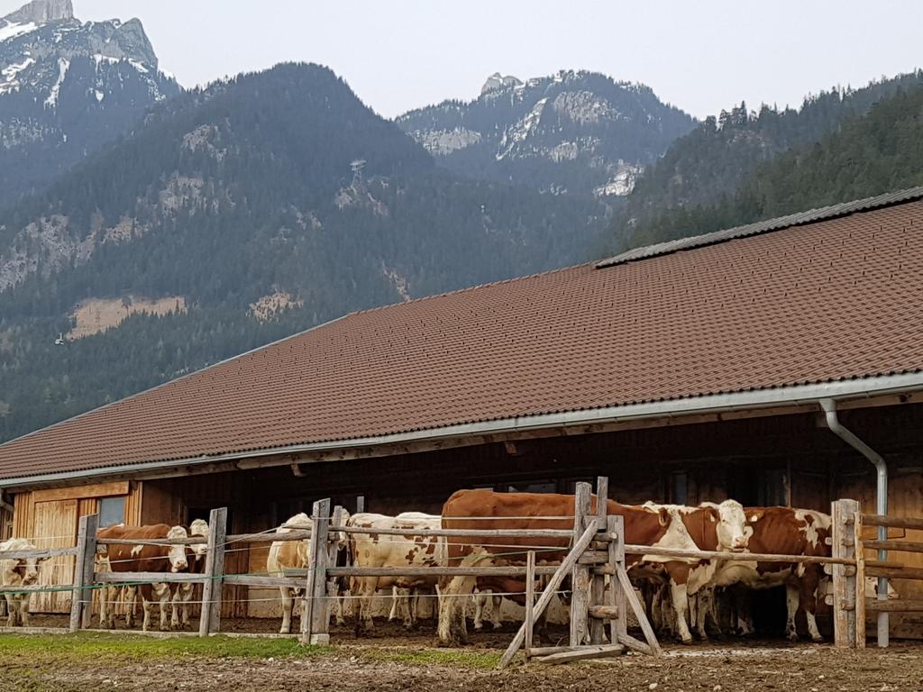 Haidacherhof Eben am Achensee Extérieur photo